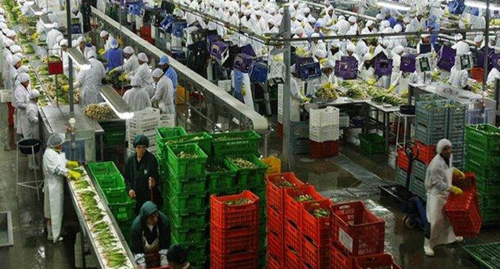 A setiembre del 2017, el subsector frutas y hortalizas frescas registró un incremento en sus exportaciones de 20.5%. (Foto: Andina)