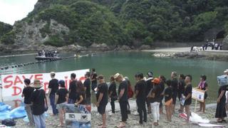 Ciudad japonesa conocida por matanza de delfines abrirá parque marino para turistas