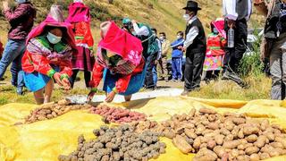 Bolivia impide el ingreso de algunos productos peruanos a su mercado, alerta Senasa