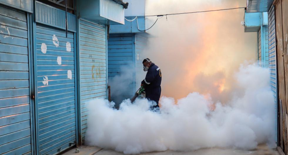 Comuna piurana fumigó mercados municipales para evitar aumento de casos de dengue.