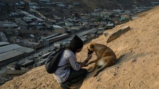 En Nueva Esperanza,  Jóvenes  ayudan perritos callejeros.