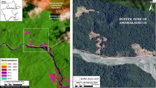 Deforestación avanza en zona reservada de Madre de Dios