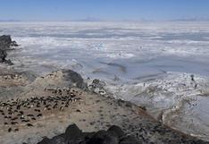 Antártida: temporada de derretimiento causó significativas transformaciones durante una década