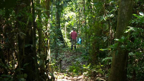 El convenio tendrá como objetivo mejorar los servicios de apoyo al aprovechamiento sostenible de la biodiversidad en los ecosistemas del corredor Puerto Maldonado-Iñapari, donde se ubica la reserva comunal Amarakaeri (Foto: Minam)