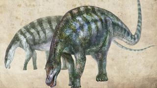 Fósiles de "asombroso dragón" reescriben la historia de los dinosaurios