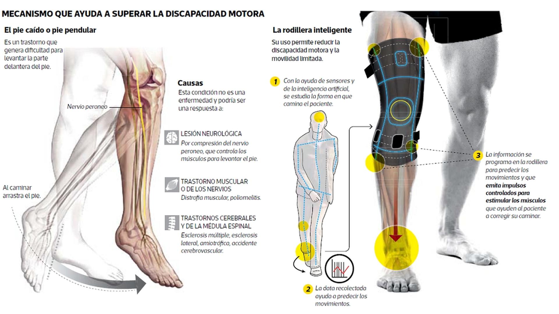 Evolution Devices desarrolló este dispositivo que usa inteligencia artificial para recuperar la movilidad y, a la vez, ayudar a la rehabilitación. (Infografía: Antonio Tarazona / El Comercio)