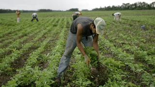 China dispuesta a comprar US$ 20.000 millones de productos agrícolas estadounidenses si se logra un acuerdo