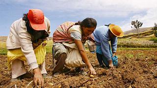 Minagri reestructura fondo Agroperú para acelerar créditos a pequeños productores