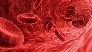 Científicos hallan por primera vez microplásticos en el torrente sanguíneo humano