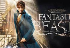 Fantastic Beasts: J.K Rowling anunció que la saga tendrá cinco películas