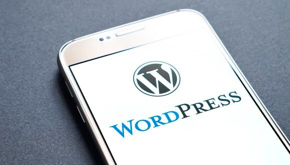 WordPress es una de las plataformas más importantes para la creación de páginas web en Internet. Conoce aquí las mejores plantillas y temas que pueden descargar y usar de manera gratuita (Foto: WordPress)