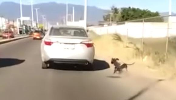 Maltrato animal en México: Arrastran a perro desde un auto en movimiento. Foto: Captura de TV