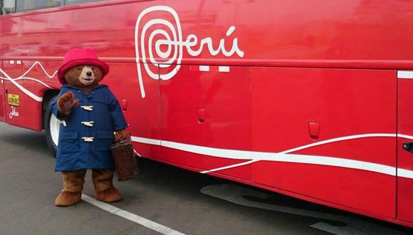 Oso Paddington recibió su DNI amarillo en sede de Reniec