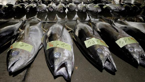 Los atunes quedan enfermos por derrame de petróleo