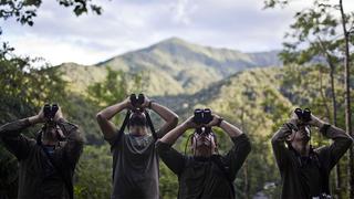 Juego de trinos: el avistamiento de aves en el Manu