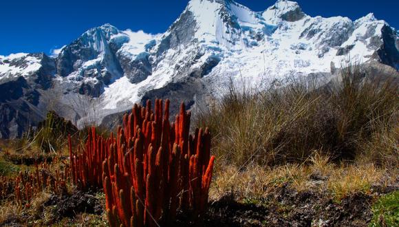 El mapa de clasificación climática constituye un insumo para la generación de estudios de zonificación ecológica y económica, así como de reducción del riesgo de desastres. (Foto: Minam)