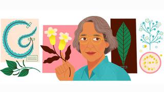 Ynés Mexía: popular doodle de google honra a reconocida exploradora botánica