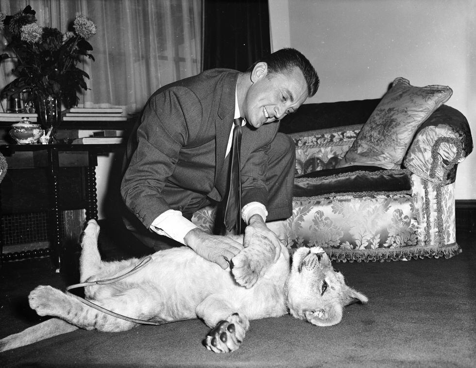 1960. Kirk Douglas con un cachorro de león llamado Spartacus que le fue presentado por el director del zoológico de Southport en reconocimiento del papel de Douglas en la película. [Foto: Getty Images]