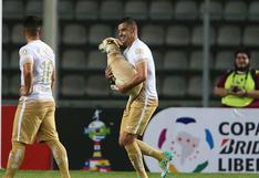 Táchira vs Pumas: perro entra al campo de juego y se roba el show