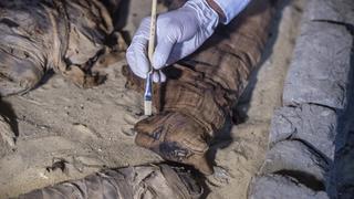 Esta momia de gato de 2.500 años asombró a los arqueólogos por lo que tiene en su interior
