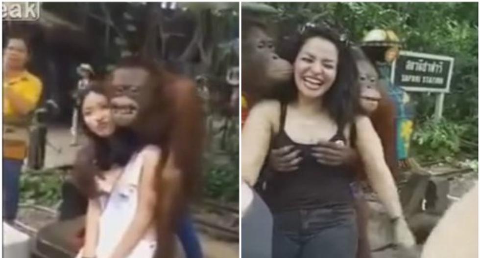 Estas dos turistas fueron \"víctimas\" de dos cariñosos orangutanes. (Foto: captura YouTube)