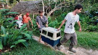 Voluntarios dejaron sus países por amor a la fauna peruana