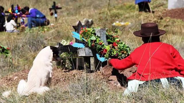 Día de los muertos: el recuerdo festivo en cementerios [FOTOS] - 1