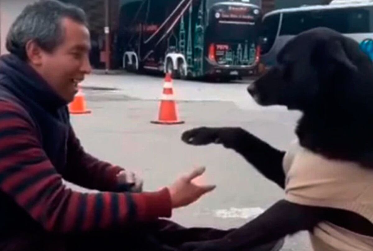 El video de un perro pidiendo a un lustrador de zapatos que limpie sus patas ha causado furor en Internet. Mira el video Youtube. (Captura)