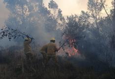 Estiman más incendios forestales a causa de El Niño y cambio climático: ¿estamos preparados?