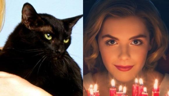 La actriz que interpretará a la bruja adolescente Sabrina, es alérgica a los gatos. (Foto:Difusión/Netflix)
