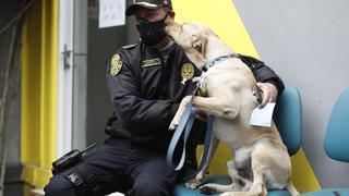 Policía mostró fotos y videos para comprobar que es dueño de mascota que permaneció 3 días en exteriores de hospital