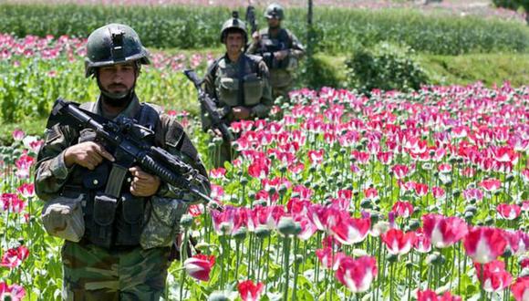 Soldados pasan por un cultivo de flores de amapola en Afganistán.