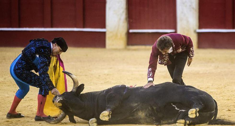 El Parlamento de las Islas Baleares dio el visto bueno a una ley de regulación de las corridas y protección de animales en territorio de la comunidad autónoma. (Foto: EFE)