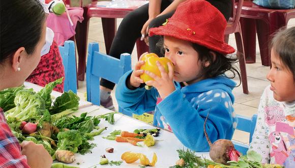 Con miras al Bicentenario. el Estado está ejecutando un plan multisectorial para reducir la anemia en los niños.