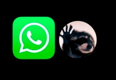 Descarga el sticker del “mapache Pedro” en WhatsApp: pasos