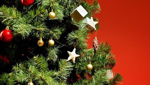 Conoce cuál es el origen del Árbol de Navidad situado en millones de hogares durante el mes de diciembre, y qué significado tienen los adornos que la componen. (Foto: Getty Images)