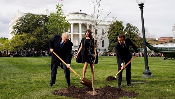 Desapareció el árbol que Emmanuel Macron y Donald Trump plantaron juntos en la Casa Blanca. (Reuters).