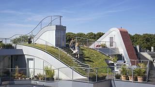 Un 'Jardín Perdido' se instaló en los techos de Copenhague