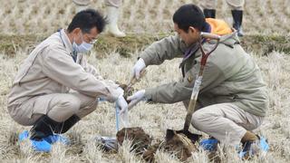 Granja en antigua zona restringida de Fukushima comienza a plantar arroz