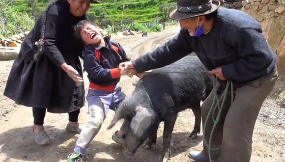 Conoce a Yaku, el niño que lloró para que no maten a su cerdo ‘Cuchi’. (Foto: YAKU Aventuras / YouTube)