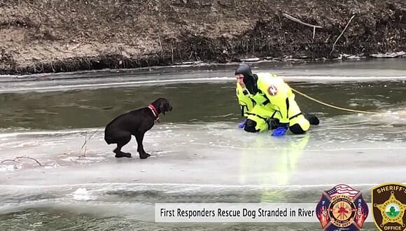 Salvan a un perro de morir congelado en el hielo. Ocurrió en Dakota del Norte, Estados Unidos. (Foto: Cass County Sheriff's Office- Fargo, ND / YouTube)