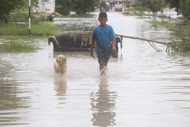 (Foto: Ralph Zapata)