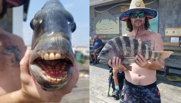 Un pez con la dentadura similar a un humano fue atrapado en una laguna de Carolina del Norte, Estados Unidos. (Foto: Facebook Jennette's Pier)