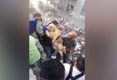 Sismo en México: emotivo rescate de un perro entre los escombros