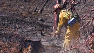 Bomberos contienen parcialmente el incendio forestal que arrasa California desde hace varios días 