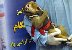 Irán lanzó su segunda cápsula espacial con un mono a bordo