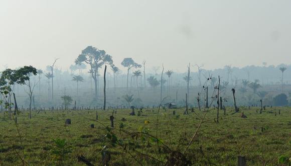 Luis Alberto Gonzales-Zúñiga, director Ejecutivo del Serfor, explicó a El Comercio que si bien se debe resaltar que el Gobierno mantenga la tendencia de reducir la deforestación, la pérdida de aproximadamente 125 mil hectáreas por año es “extredamamente alta”. (Foto: Carbon Decisions International/Flickr).