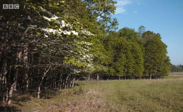 (Foto: Passion Pictures)