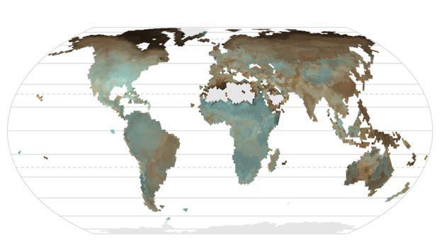 El mapa de distribución elaborado en base a 634 especies del planeta, incluyendo de América Latina, muestra que el color marrón más oscuro es más común en regiones frías. (NATURE DANIEL HANLEY ET AL)
