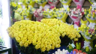 Exportaciones de flores y follaje cayeron 67% al sumar US$147.412 en marzo, según Adex